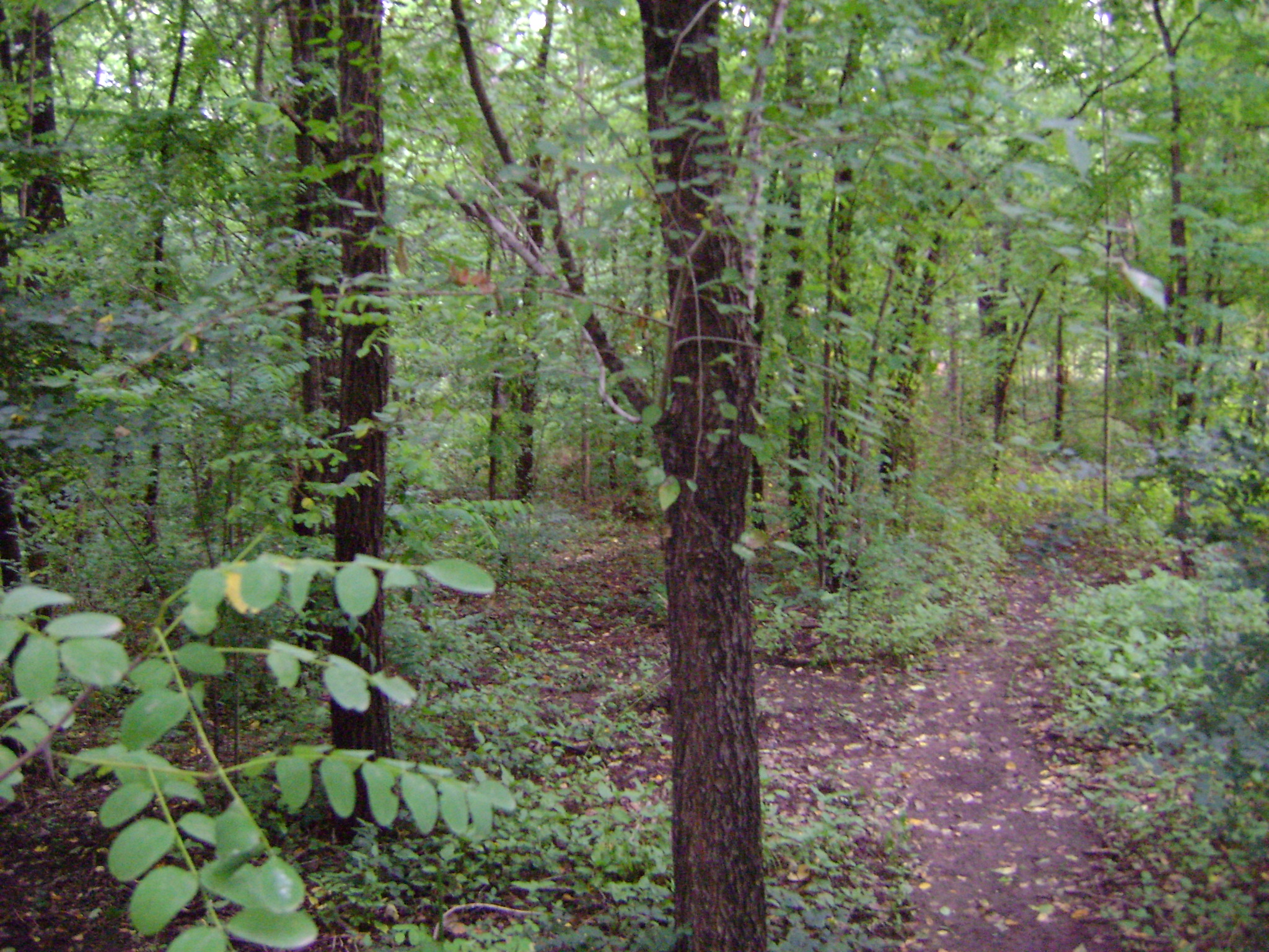 fotos/2011 - Los Reartes/DSC03490.JPG